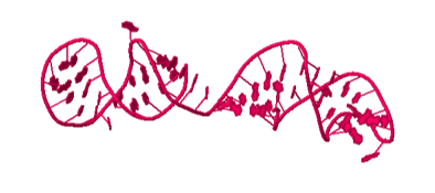Aptamer Database Header