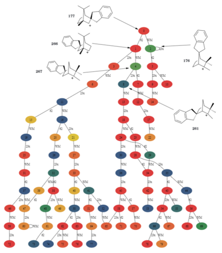 Reaction Mechanism Image