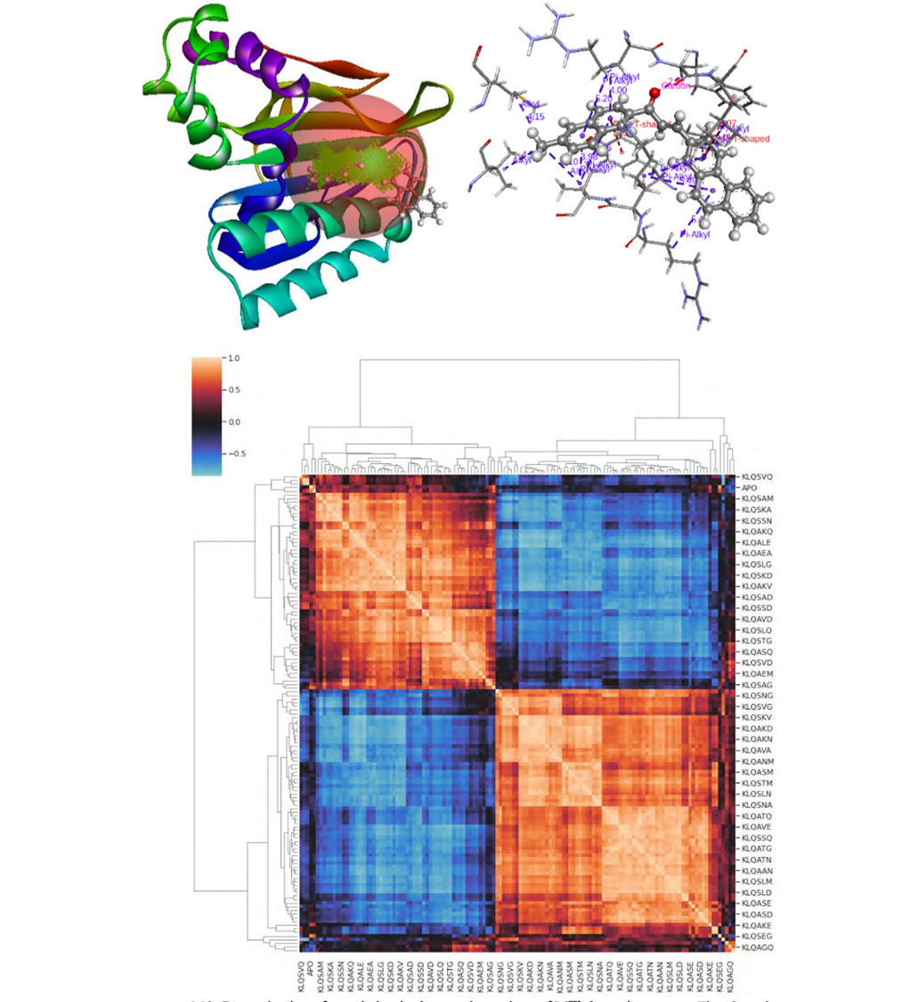 Drug Discovery Image